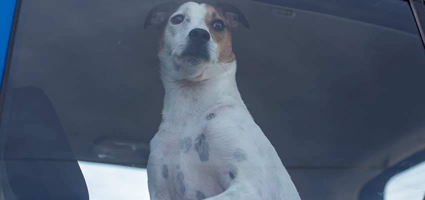 Car Lockout Solutions in Foster City, California